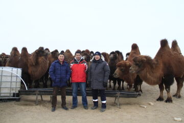 Improving access to water and healthcare in Mongolia 